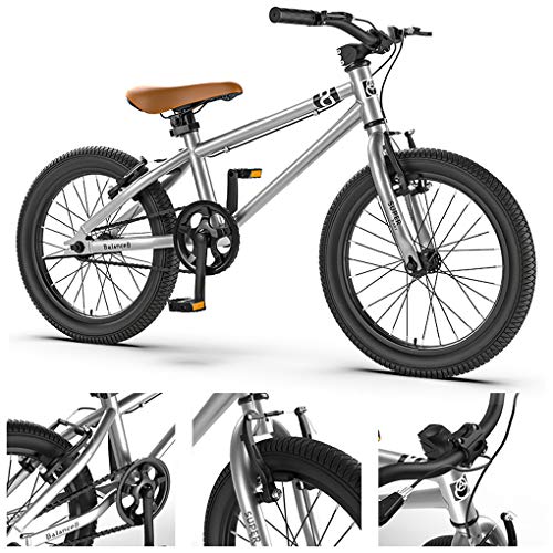 ZYD Bicicleta de montaña para niños Acero con Alto Contenido de Carbono 20 Pulgadas 5-11 años | Bicicleta para niños y jóvenes de una Velocidad, Frenos en V Delanteros y Traseros, rígida, Plateado