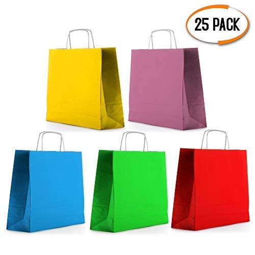 25pcs Bolsas de Regalo | Llano Bolsa De Papel con Trenzadas Asas 24x16x6cm | Bolsitas Kraft Originales para Personalizar y Envolver Regalos | Envoltorio para Fiestas de Cumpleaños, Halloween y Navidad