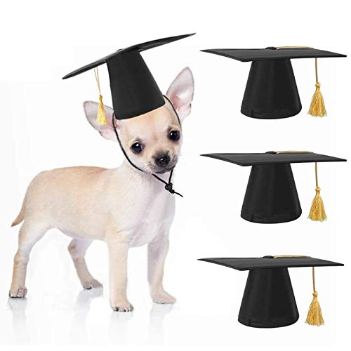 3 Piezas Sombrero de Graduación Mascotas Gorra Académica Perro Pequeño Negro con Borla Amarilla Campamento de Entrenamiento de Mascotas Casquillos de Graduación Como de Vacaciones Accesorios.