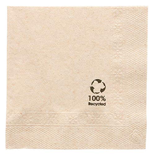 4800 Unidades - García de Pou 143.70 Servilletas Ecolabel, 2 Capas, 18 G/M2, 20 x 20 cm, Natural