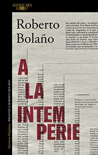 A la intemperie: Colaboraciones periodísticas, intervenciones públicas y ensayos