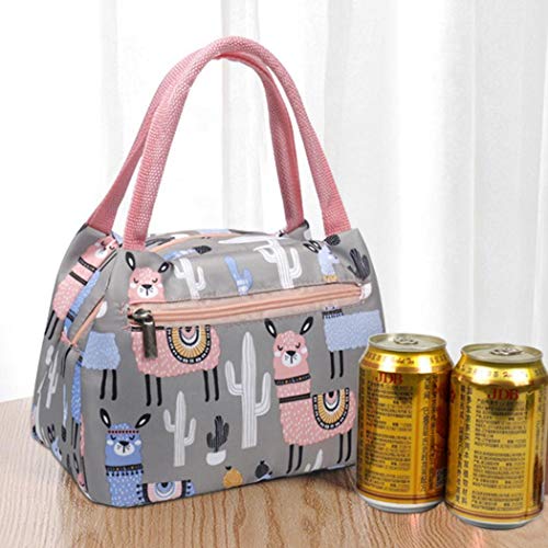 alerouns Bolsa de Enfriador Térmico Portátil Lonchera con Aislamiento de Tela Oxford Bolsa de Picnic Reutilizable