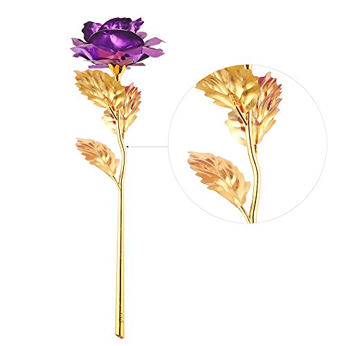 ALLOMN Rosa 24 K Chapado en Oro Rosa Flor con Caja de Regalo Mejor Regalo para el día de San Valentín Día de la Madre Navidad cumpleaños Dorado/Rojo/Morado/Azul (Morado)