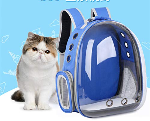 AMTSKR Space Capsule Mochila transparente para mascotas, bolsa de mano para perros, suministros fuera de la caja, bolsa de limpieza portátil para gatos, 34 x 25 x 42 cm