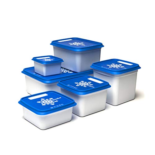 Amuse Alaska - Juego de recipientes para congelación (rectangulares), Plástico (PP), Blanco/Azul, 3 x 500 ml