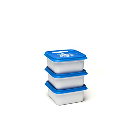 Amuse Alaska - Juego de recipientes para congelación (rectangulares), Plástico (PP), Blanco/Azul, 3 x 500 ml