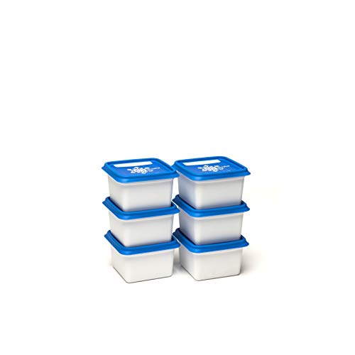 Amuse Alaska - Juego de recipientes para congelación (rectangulares), Plástico (PP), Blanco/Azul, 6 x 200 ml