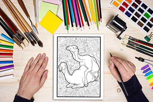 Animales follando: Un libro de colorear para adultos: 31 divertidas páginas para colorear con elefantes, perros, gatos, monos, llamas, jirafas y ... para la relajación y el alivio del estrés