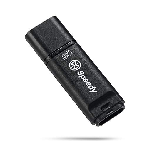 AXE Speedy - Memoria USB 3.1 de 256 GB, Velocidad de lectura de hasta 400 MB/s, Flash Drive - AX3S256