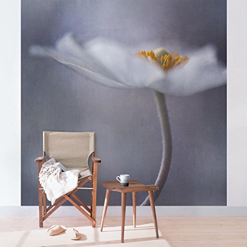 Bilderwelten Fotomural - Flor blanca de la Anémona - Mural cuadrado papel pintado fotomurales murales pared papel para pared foto 3D mural pared barato decorativo, Tamaño: 192cm x 192cm