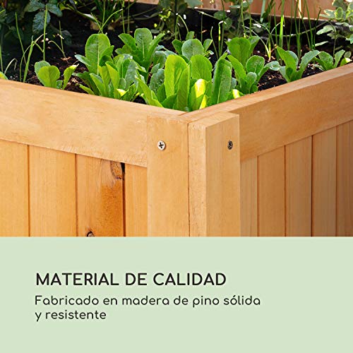 blumfeldt Altiplano Cubic macetero - 150 x 100 x 50 cm, Madera de Pino sólida, Superficie de Cultivo Grande, Fieltro de jardín, Concepto ErgoGrow, Tabla integrada, Fácil de Montar, Madera