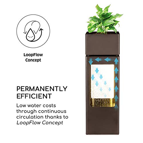 blumfeldt Waterplant Fuente para Exterior e Interior - Circulación de Agua Concepto Loopflow, Bomba de 16 W de Potencia, Certificado: IPX8, Iluminación LED, Metal zincado, Incluye Maceta para Plantas