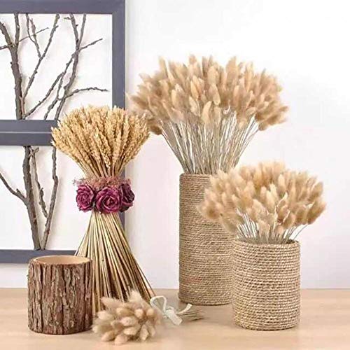 Bontand 20pcs Secas Naturales Cola De Conejo Flor Hierba Ramos Racimos La Decoración del Hogar De 16 Pulgadas