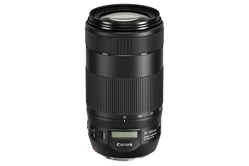 Canon EF 70-300 mm - Objetivo EF 70-300 mm F4-5,6 IS II USM, Negro