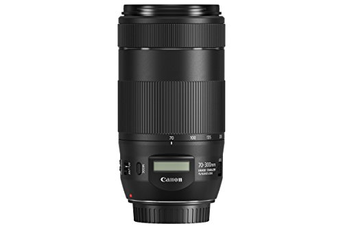 Canon EF 70-300 mm - Objetivo EF 70-300 mm F4-5,6 IS II USM, Negro