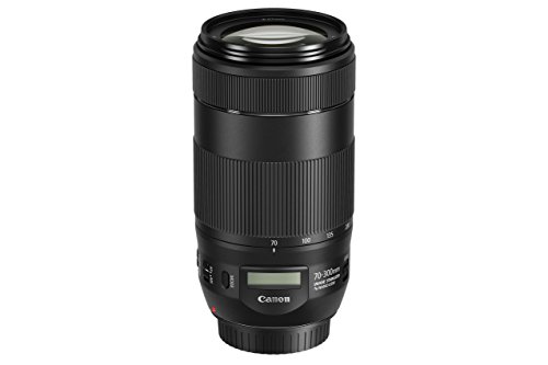 Canon EF 70-300 mm - Objetivo EF 70-300 mm F4-5,6 IS II USM, Negro