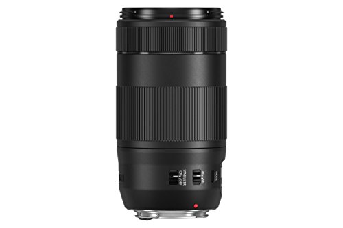 Canon EF 70-300 mm - Objetivo EF 70-300 mm F4-5,6 IS II USM, Negro