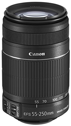 Canon EF-S 55-250mm f/4-5.6 IS II - Objetivo para Canon (Distancia Focal 55-250mm, Apertura f/4-32, Zoom óptico 4.5X,estabilizador óptico, diámetro: 58mm) Negro