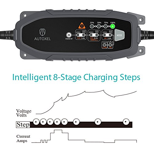 Cargador de Batería para Coche, AUTOXEL 3,8 A 6V/12V 8 Modos Inteligente Cargador/Mantenedor de Batería de Automóvil para Vehículos para LiFePO4 & Batería de Plomo ácido de Mojado, MF, VRLA, AGM y Gel