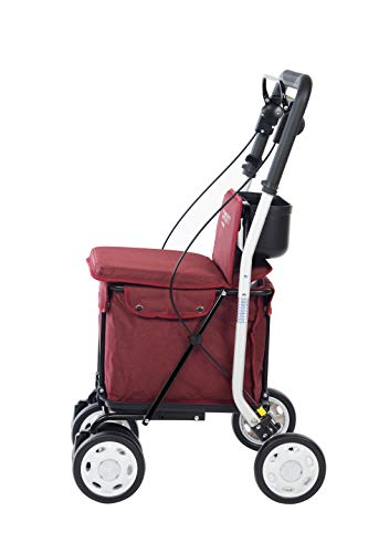 Carlett Carro DE LA Compra-Andador Lett 800 con Asiento, Coleccion 2020, Rojo TXT, Red,