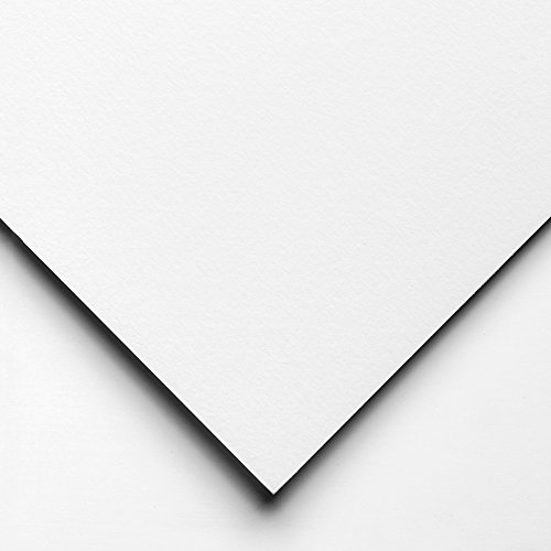 Clairefontaine 96308C - Bloc de papel para pintura acrílica (10 folios), color blanco