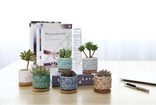 ComSaf Planta Maceta de Suculento Blanco 6.6 CM Paquete de 6, Cactus Maceteros de Ventana Cajas Decoración para Mesa de Comedor Sala de Estar Idea Regalo para Cumpleaños Boda Navidad