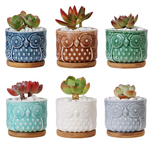 ComSaf Planta Maceta de Suculento Blanco 6.6 CM Paquete de 6, Cactus Maceteros de Ventana Cajas Decoración para Mesa de Comedor Sala de Estar Idea Regalo para Cumpleaños Boda Navidad