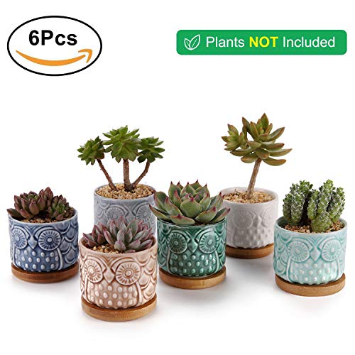 ComSaf Planta Maceta de Suculento Blanco 6.6 CM Paquete de 6, Cactus Maceteros de Ventana Cajas Decoración para Mesa de Comedor Sala de Estar Idea Regalo para Cumpleaños Boda Navidad