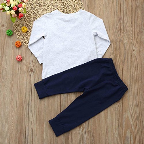 Conjunto de bebé Recien Nacido Primavera Verano Niños niñas Dibujos Animados Perro Orejas Tops Pantalones Conjunto de Ropa 0-24 Mes (Gris, Tamaño:12-18Mes)