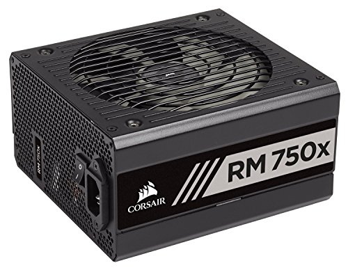 Corsair RM750x - Fuente de alimentación (totalmente modular, 80 Plus Gold, 750 W, EU) negro