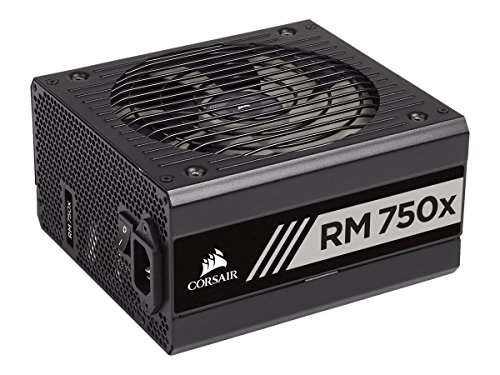 Corsair RM750x - Fuente de alimentación (totalmente modular, 80 Plus Gold, 750 W, EU) negro