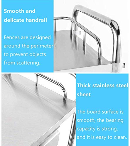 DEE Carros de Almacenamiento Médico, Carrito de Servicio Doméstico, Estante de Acero Inoxidable de 2 Estantes, Trolley Médico, Soporte de Metal para Almacenamiento de Peluquería, Capacidad de 70 Kg.