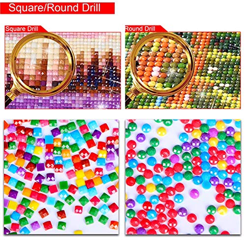 Diamond Painting by Numbers Kits DIY 5D Full Drill La bella y las alubias Large Paste Crystal Rhinestone Adults Kids Handmade Embroidery Diamond Art Craft for Home Wall Decor 40x50cm