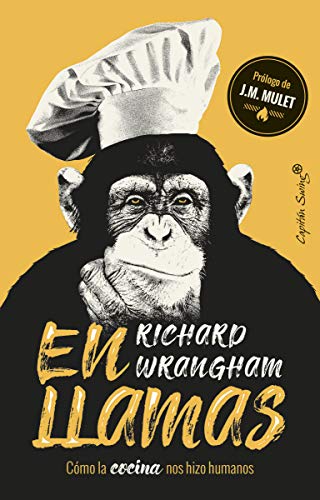 En llamas: Cómo la cocina nos hizo humanos (ENSAYO)