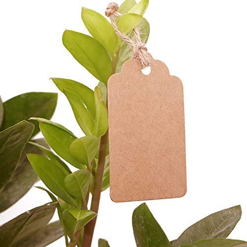 Etiquetas de Papel Kraft,100 PCS Etiquetas Regalo Redondas + 100 PCS Etiquetas de Papel de Regalo Rectangulares con 20 Metros de Hilo para Boda del día de Decoraciones de Fiesta Artesanales Navidad