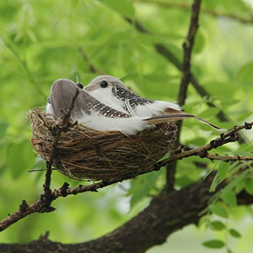 F Fityle Artificial Pájaros con Nido de Heno, Huevos de Aves para Decorar Hogar y Jardín, Bares o Cafés