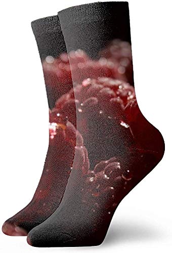 Fashion Travel Breathable Socks Raspberry Berry Bowl Sweet Ripe Printing Art Men & Women Running Casual Socks