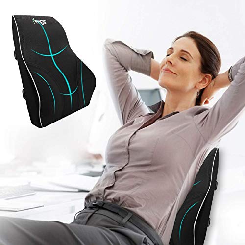 Feagar Cojin Lumbar Coche con Esponja Memoria, Respaldo Lumbar Soporte de Espalda por Office Negro