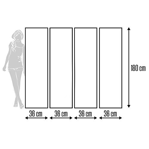 Feeby Frames Biombo Impreso sobre Lona, tabique Decorativo para Habitaciones, a Doble Cara, de 4 Piezas (145x180 cm), Diente DE LEÓN, Naturaleza, Plantas, Blanco