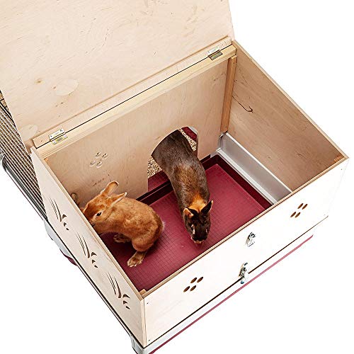 Ferplast Jaula para Conejos y Conejillos de Indias KROLIK 140 Plus, para pequeños Animales, Conejera, Casita de Madera Separable, Accesorios incluidos, 142 x 60 x h 50 cm Burdeos