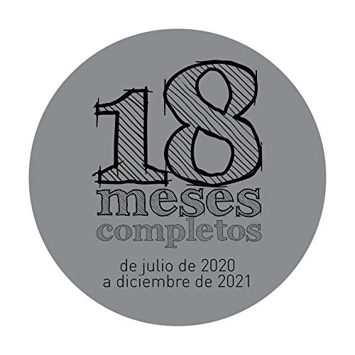 Finocam - Calendario de Sobremesa 18 Meses 2020-2021 S - 210x150 Mes Vista Español