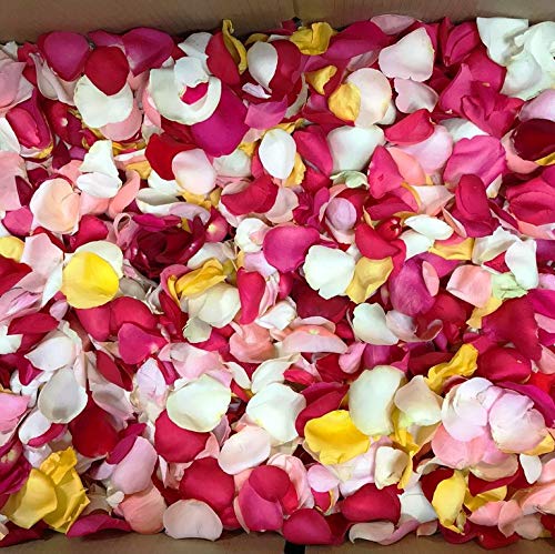 Flores Frescas Online Pétalos de Rosas Naturales para Bodas y Eventos 300 gr Portes Gratis