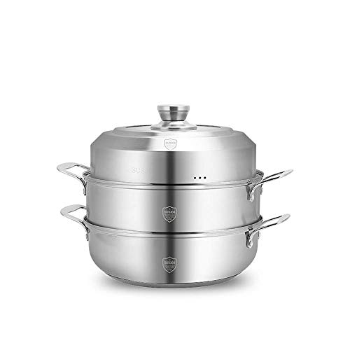 GH-YS Vaporizador Profesional de Acero Inoxidable, vaporizador de Alimentos Espesado de Acero Inoxidable 304, sartén Antiadherente para el hogar Universal-Steamer 28cm-2Tier