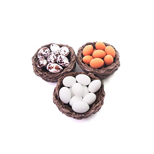 Gjyia 1/12 Escala Casa de Muñecas Miniatura de Aves Nido con Huevos Set Muñecas Casa Paisaje Decoración Accesorios Juguete