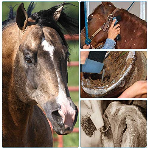 Gobesty - Cepillo de goma para caballo, con cepillo para caballo, herramientas de aseo para caballos