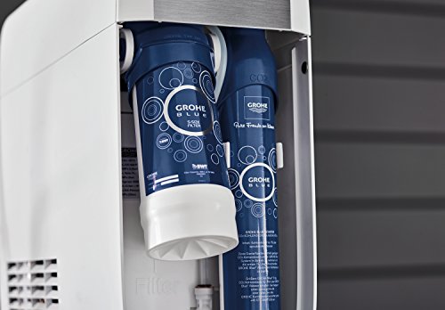 Grohe Blue - Filtro de Recambio Blue 600l, Tamaño S (Ref. 40404001)