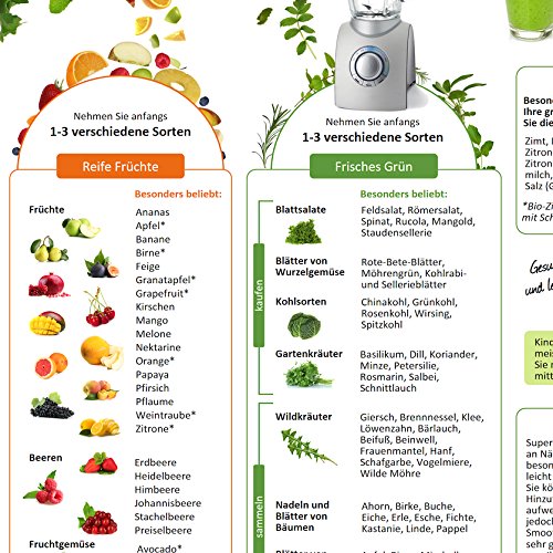 Grüne Smoothies in 5 Minuten (2017) -: Intuitive Anleitung um die gesunde Mini-Mahlzeit für die ganze Familie richtig zuzubereiten - (DINA4 - 2 Seiten ... praktisch, abwischbar und blätterfrei)