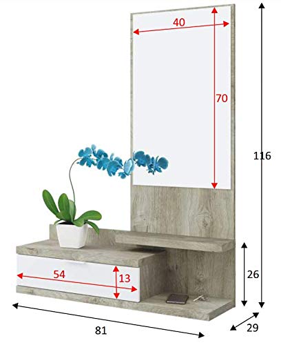 Habitdesign Recibidor Dahlia 1 cajón 1 Espejo Color Roble y Blanco Entrada Pasillo Estilo Moderno Mueble 116x81x29cm…