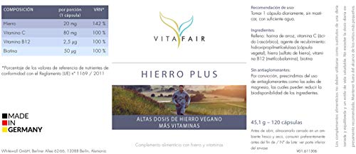 Hierro Plus - Vitamina C, B12 y Biotina - 120 Cápsulas - Esta Combinación Cubre al 100% de tus Necesidades Diarias - Dosis Alta - Vegano - Máxima Biodisponibilidad - German Quality