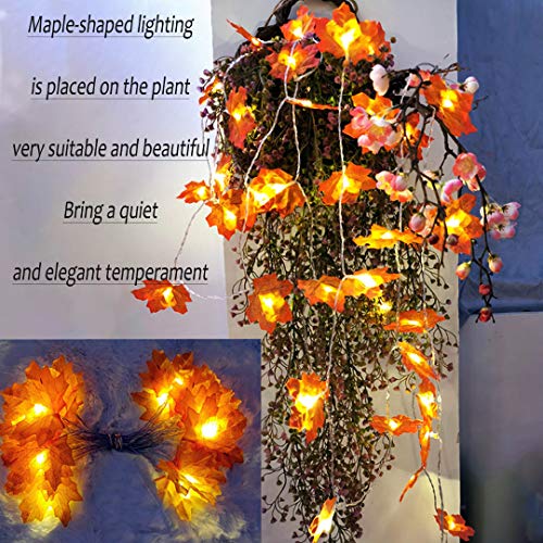 Hojas de otoño, Ainkedin guirnalda otoño, 30 luces led decoracion, Luces decoracion halloween, Adornos navidad, Guirnaldas decoracion pared plantas artificiales decoracion Escalera decorativa